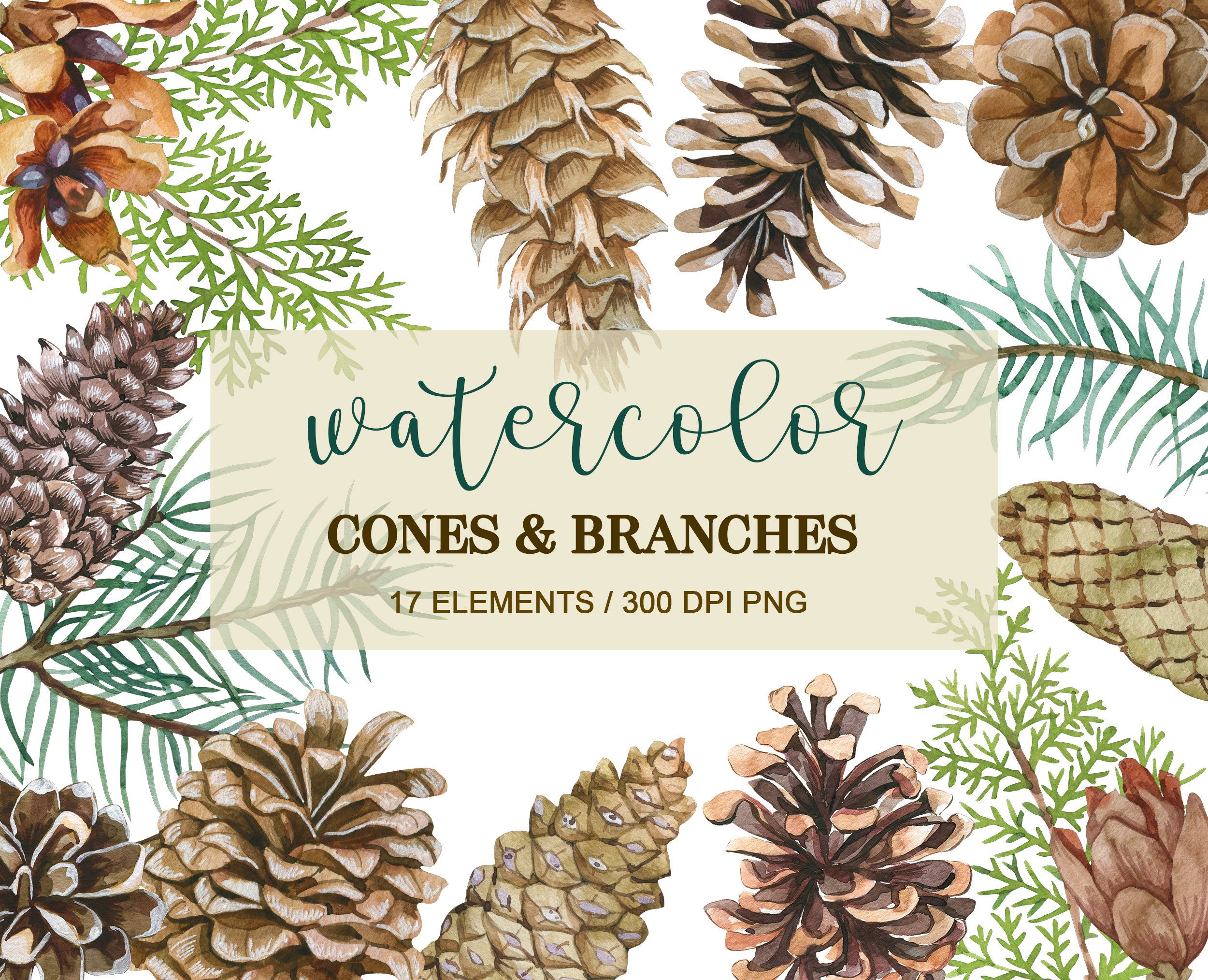 Detail Christmas Pinecone Clipart Nomer 32