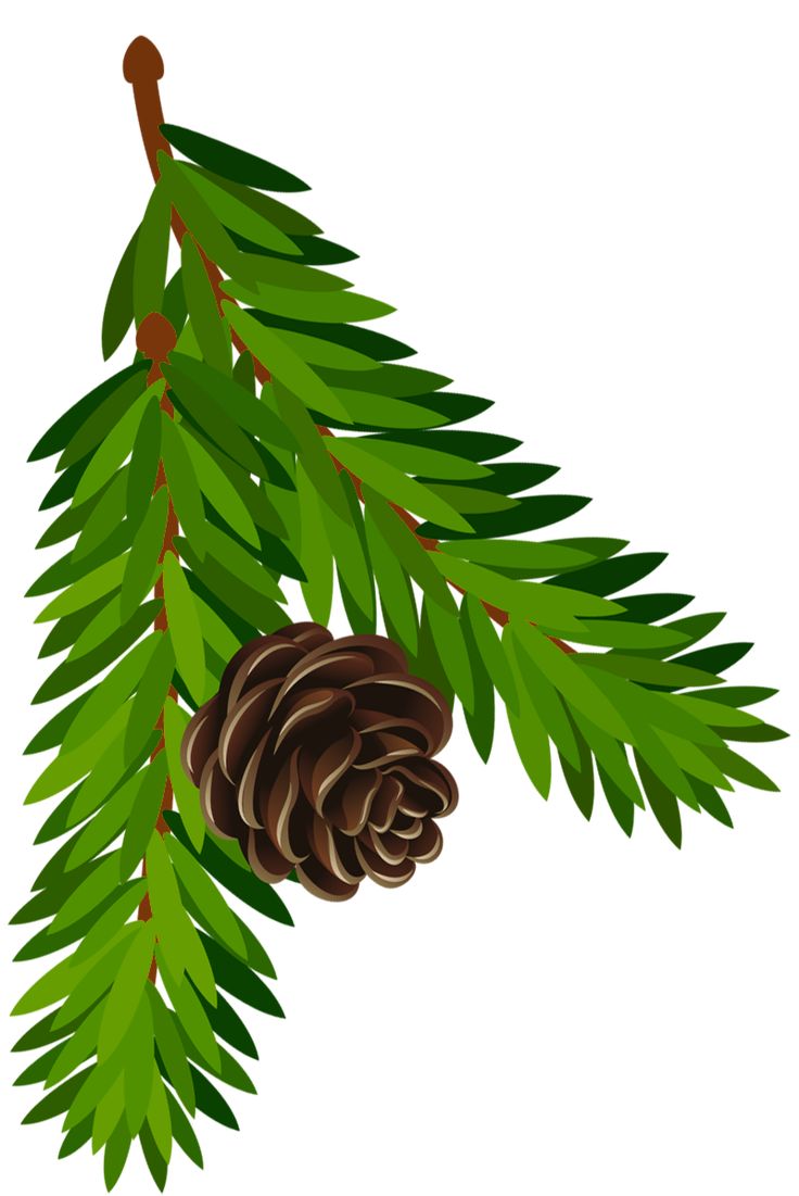 Detail Christmas Pinecone Clipart Nomer 39