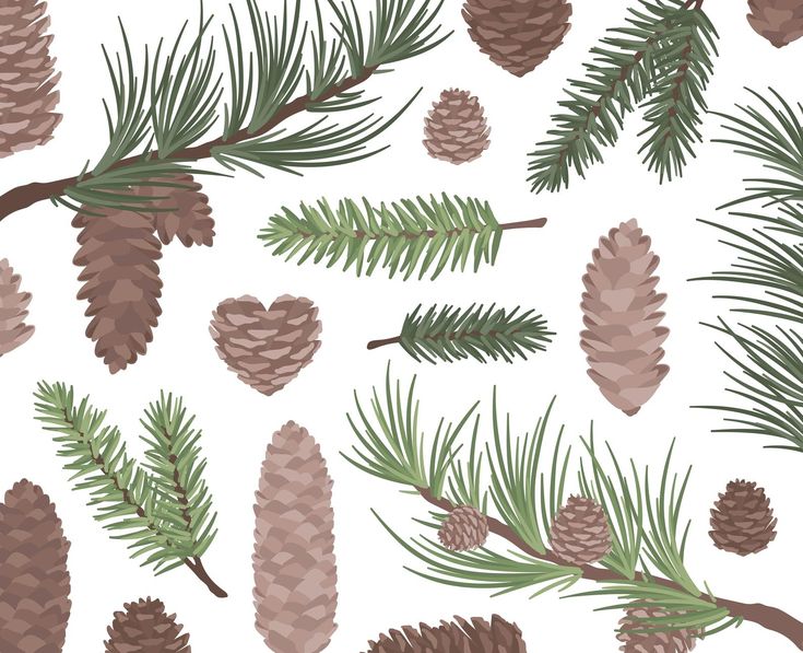 Detail Christmas Pinecone Clipart Nomer 57