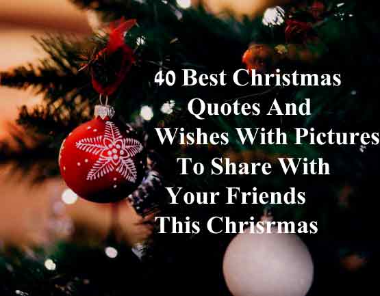 Detail Christmas Sharing Quotes Nomer 45