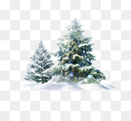 Detail Christmas Snow Png Nomer 11