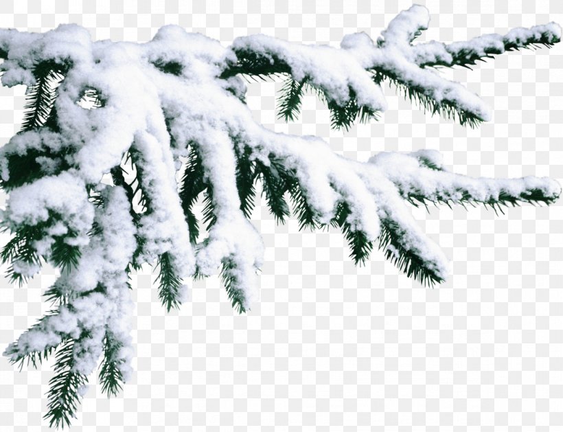 Detail Christmas Snow Png Nomer 19