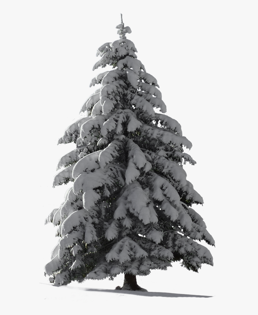 Detail Christmas Snow Png Nomer 21