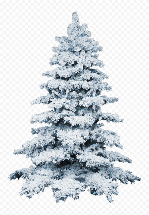 Detail Christmas Snow Png Nomer 49