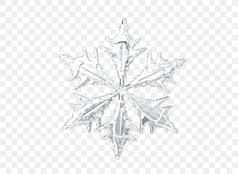 Detail Christmas Snowflakes Png Nomer 21