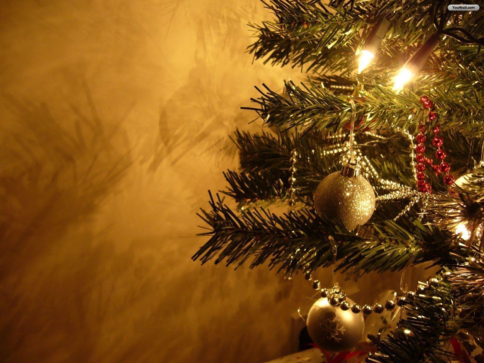 Detail Christmas Tree Background Hd Nomer 9