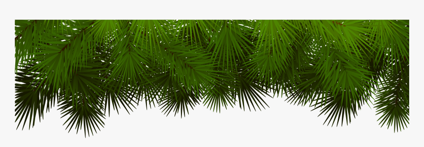 Detail Christmas Tree Branches Png Nomer 2