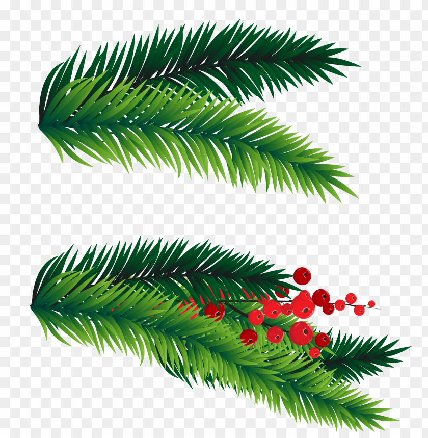Detail Christmas Tree Branches Png Nomer 13