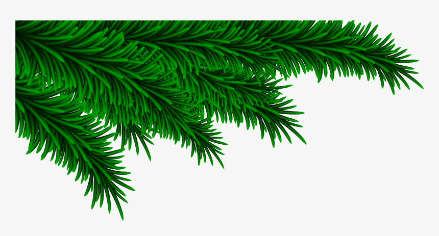 Detail Christmas Tree Branches Png Nomer 15