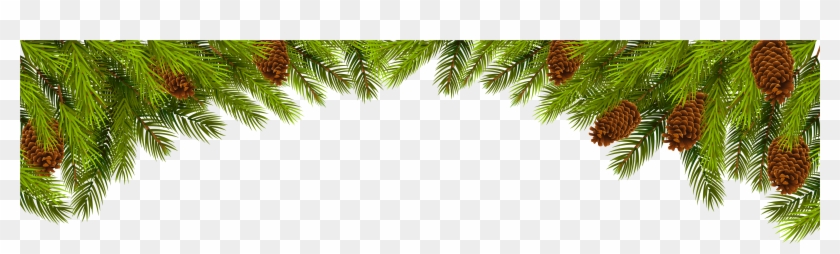 Detail Christmas Tree Branches Png Nomer 18