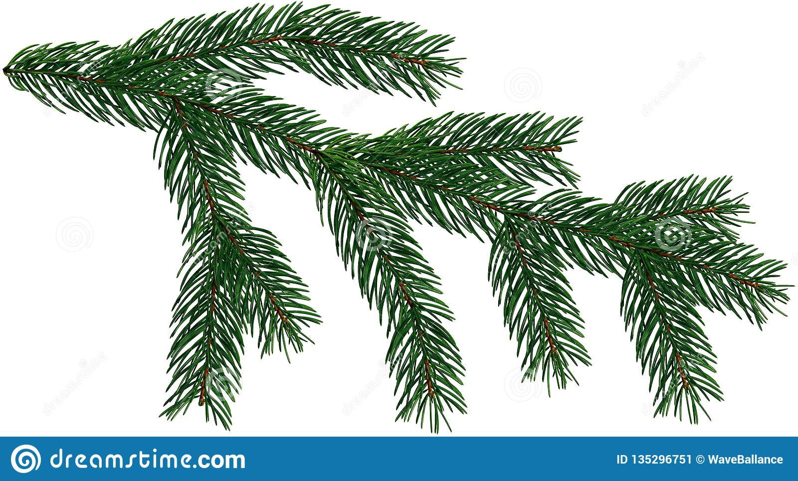 Detail Christmas Tree Branches Png Nomer 19