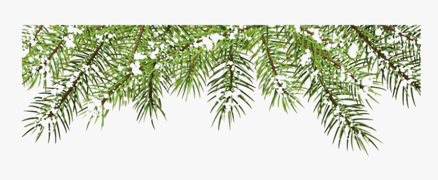 Detail Christmas Tree Branches Png Nomer 3