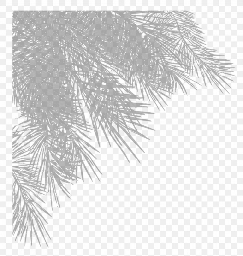 Detail Christmas Tree Branches Png Nomer 27