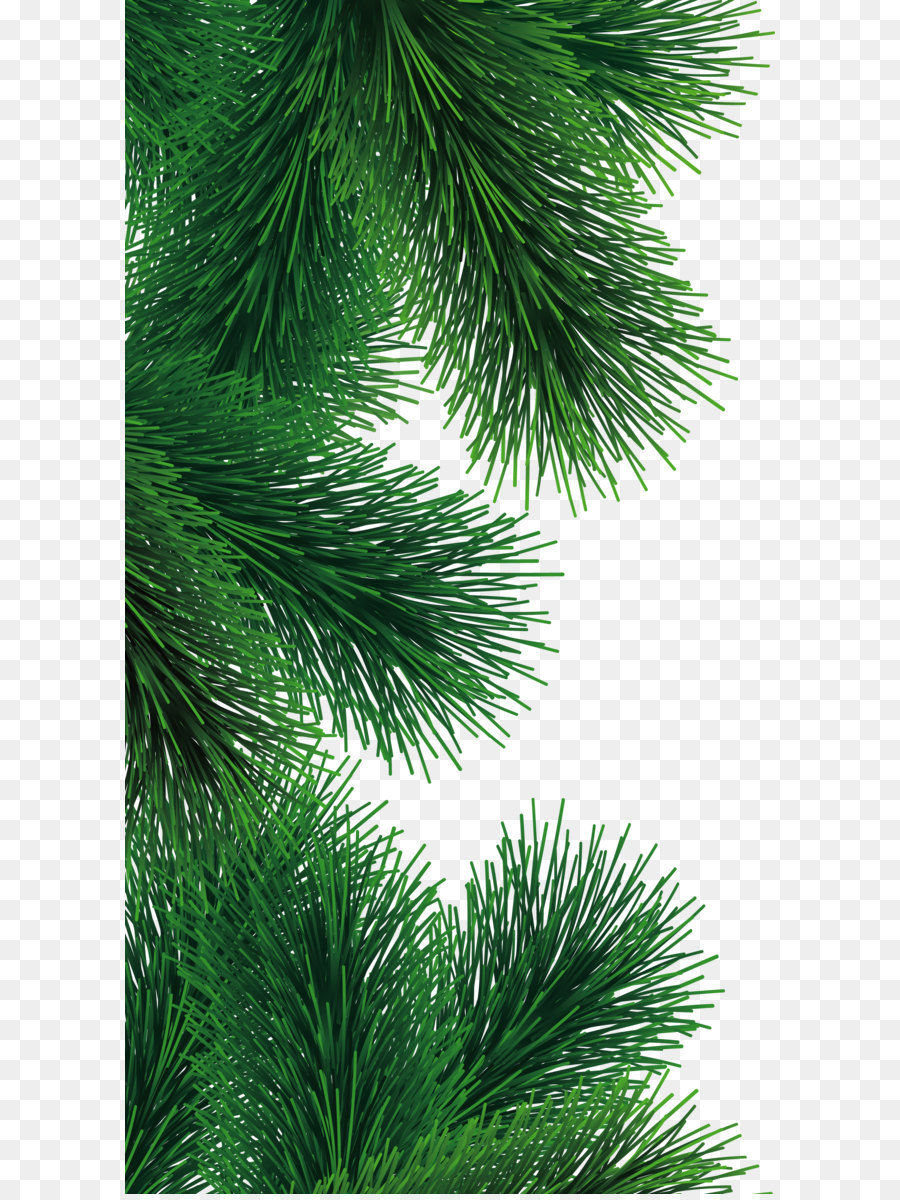 Detail Christmas Tree Branches Png Nomer 30