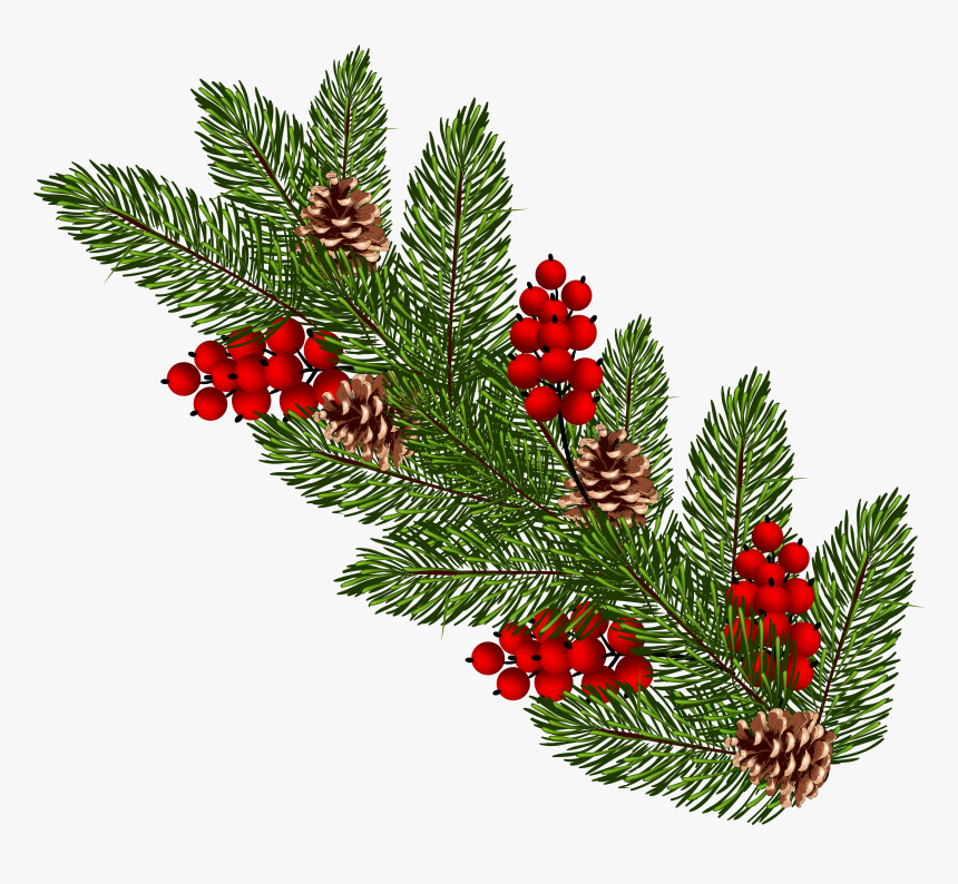 Detail Christmas Tree Branches Png Nomer 31