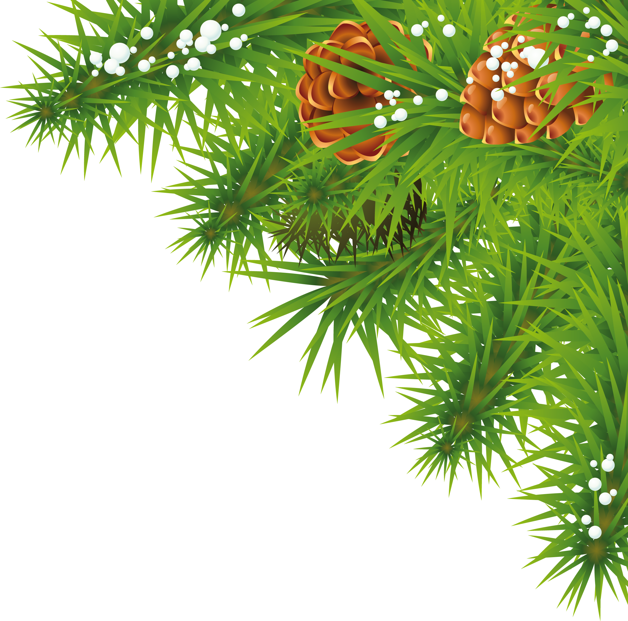 Detail Christmas Tree Branches Png Nomer 36