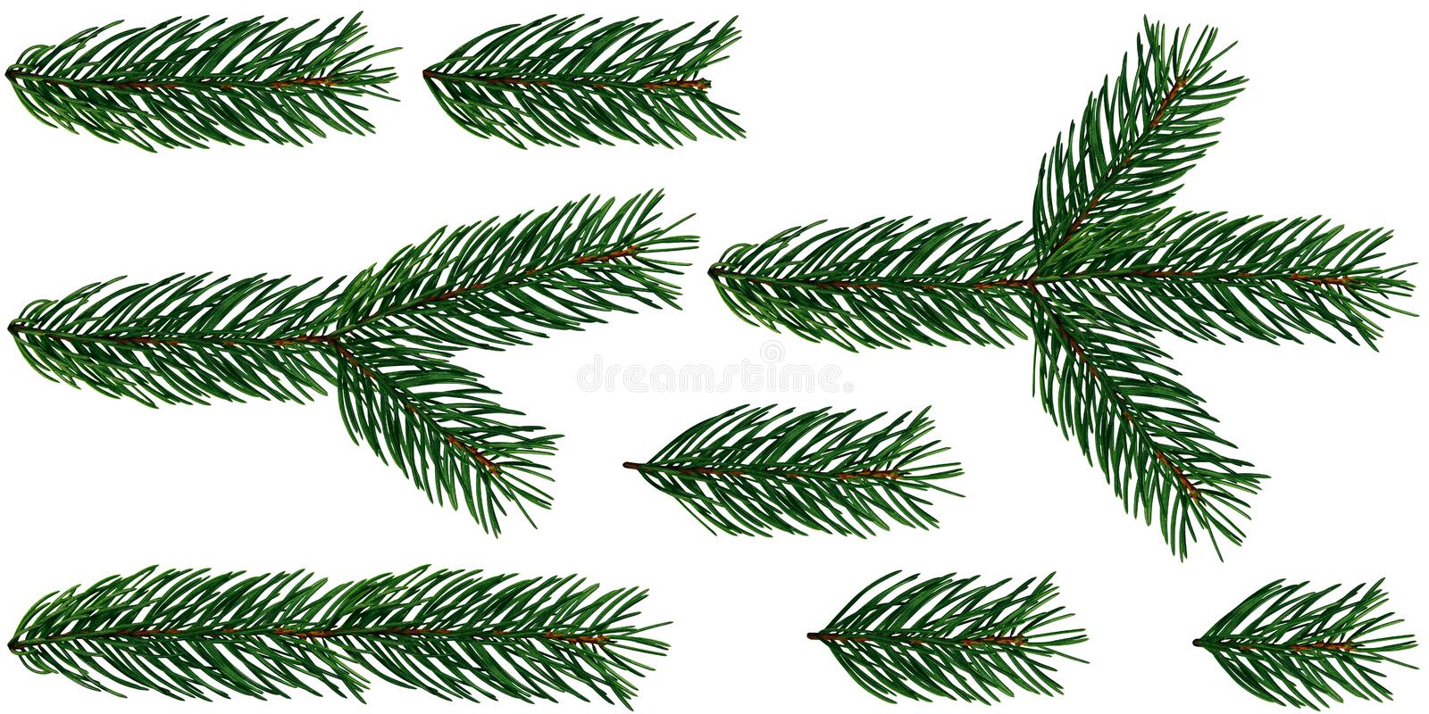 Detail Christmas Tree Branches Png Nomer 47