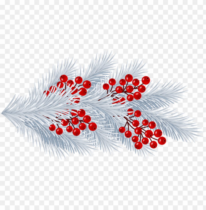 Detail Christmas Tree Branches Png Nomer 54