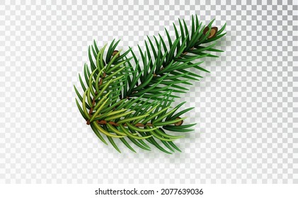 Detail Christmas Tree Branches Png Nomer 58