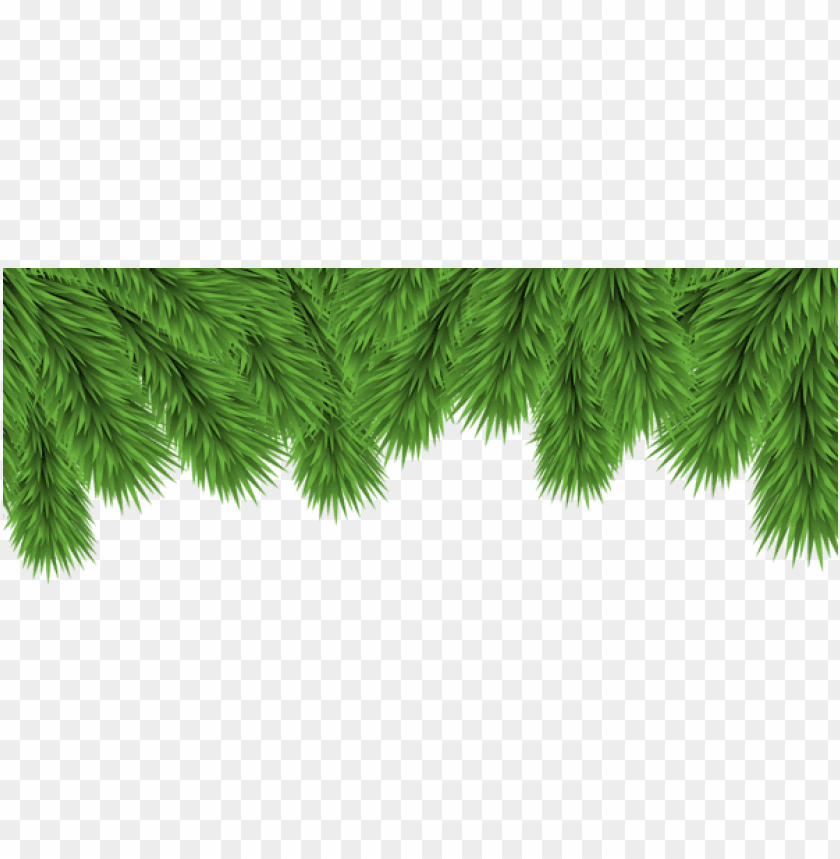 Detail Christmas Tree Branches Png Nomer 10