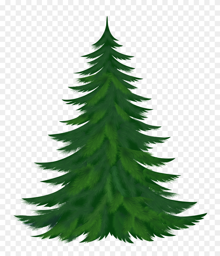 Detail Christmas Tree Clipart Transparent Nomer 43