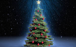 Detail Christmas Tree Free Image Nomer 31