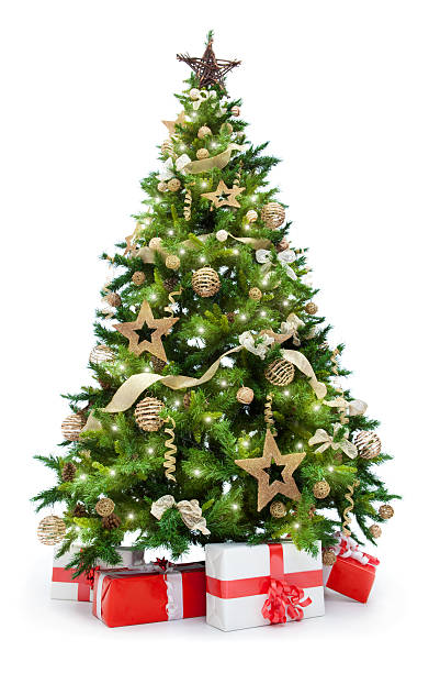 Detail Christmas Tree High Resolution Nomer 12