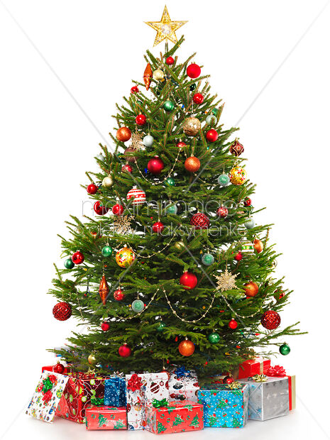 Detail Christmas Tree High Resolution Nomer 15