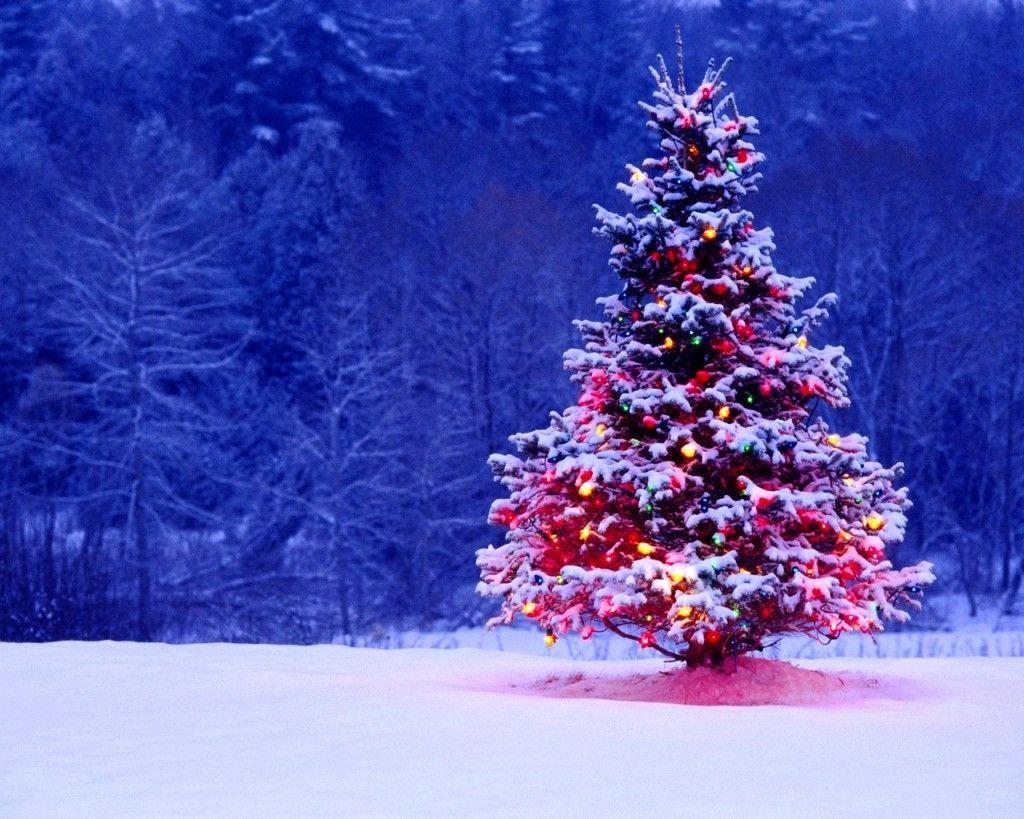 Detail Christmas Tree High Resolution Nomer 16