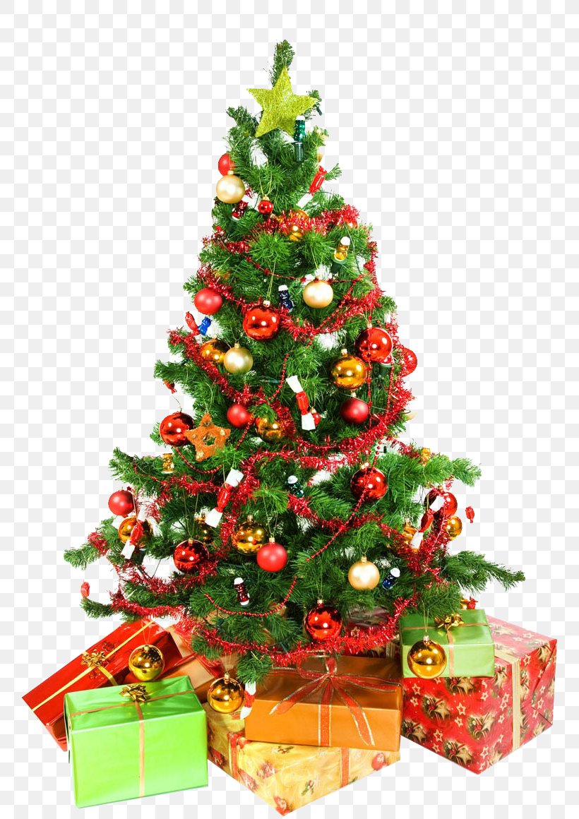 Detail Christmas Tree High Resolution Nomer 3