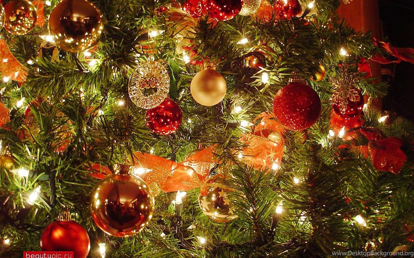 Detail Christmas Tree High Resolution Nomer 20