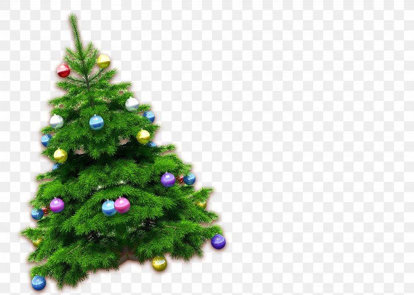 Detail Christmas Tree High Resolution Nomer 24