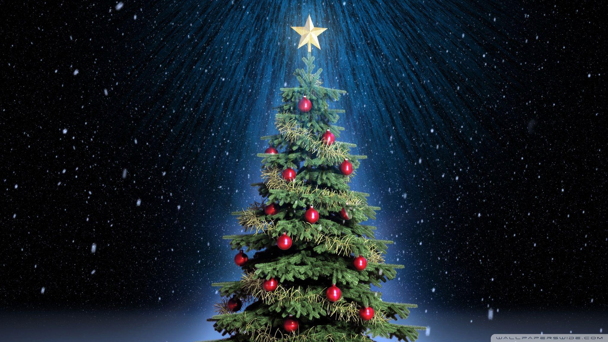 Detail Christmas Tree High Resolution Nomer 4