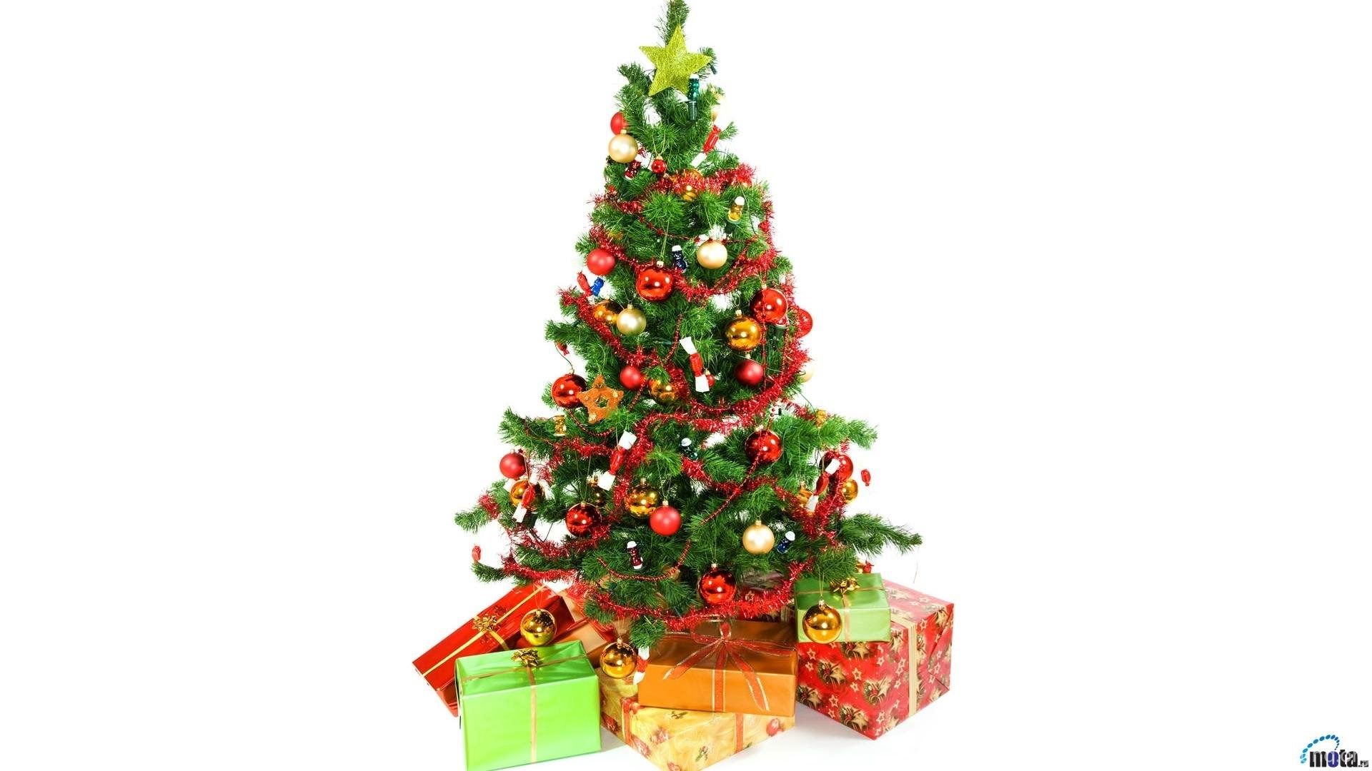 Detail Christmas Tree High Resolution Nomer 35