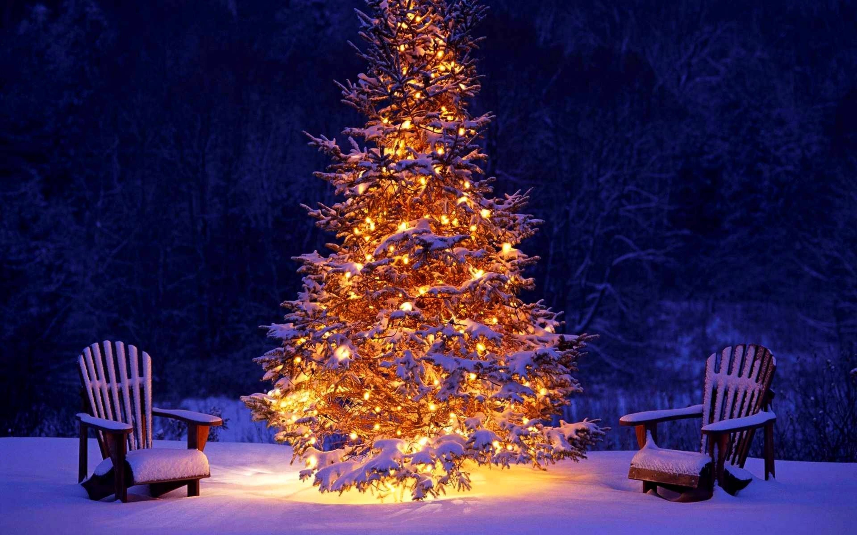 Detail Christmas Tree High Resolution Nomer 36