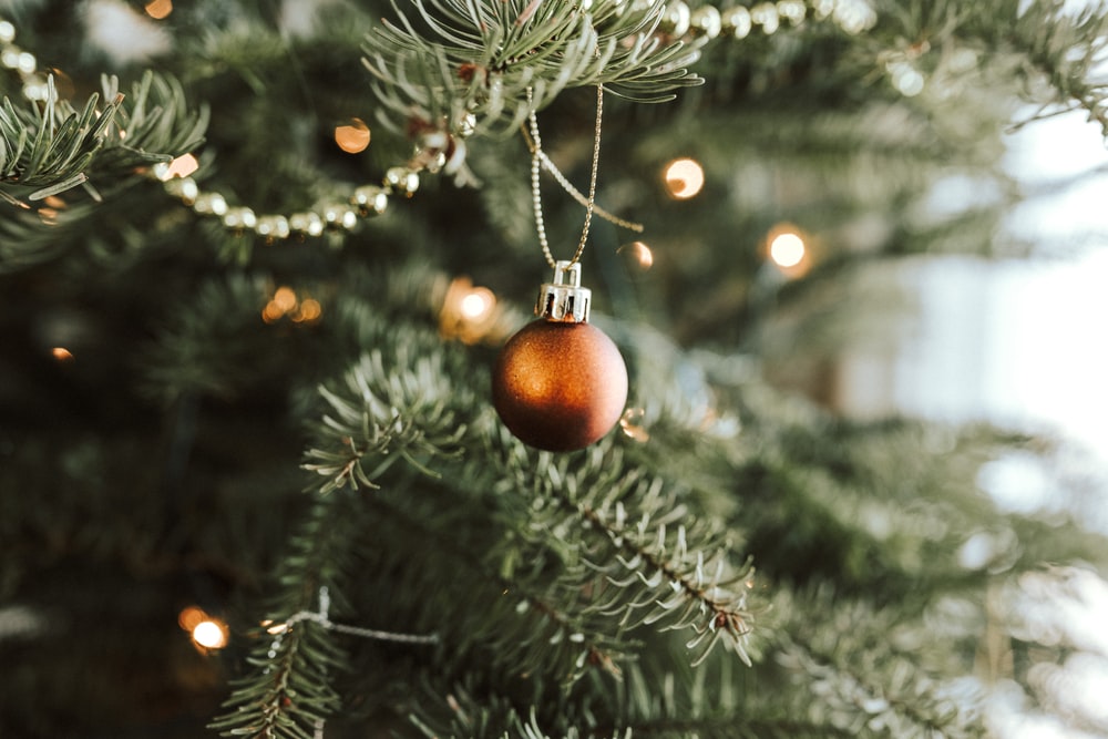 Detail Christmas Tree High Resolution Nomer 38