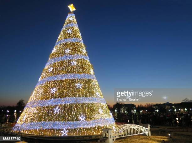 Detail Christmas Tree High Resolution Nomer 39