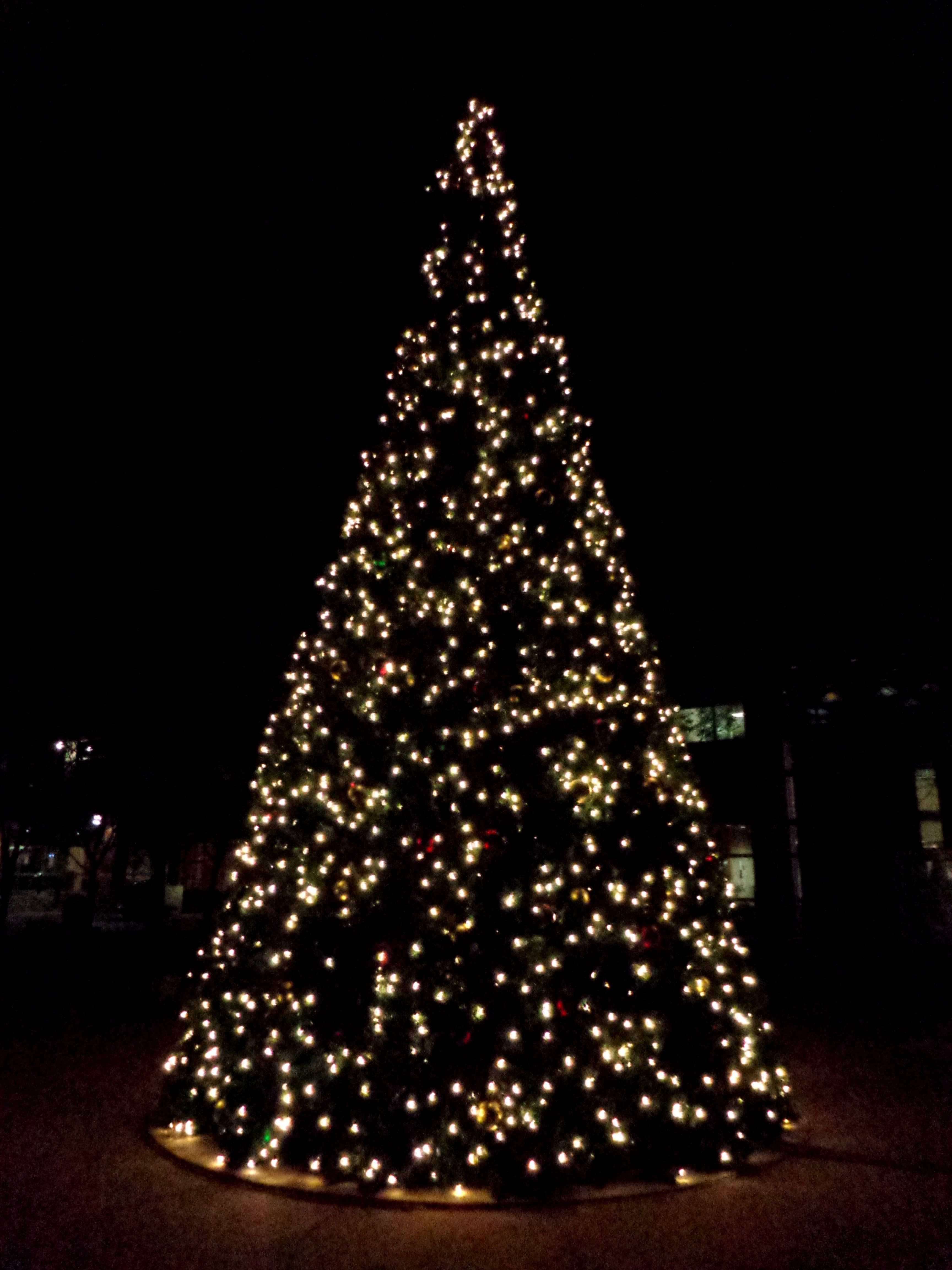 Detail Christmas Tree High Resolution Nomer 43