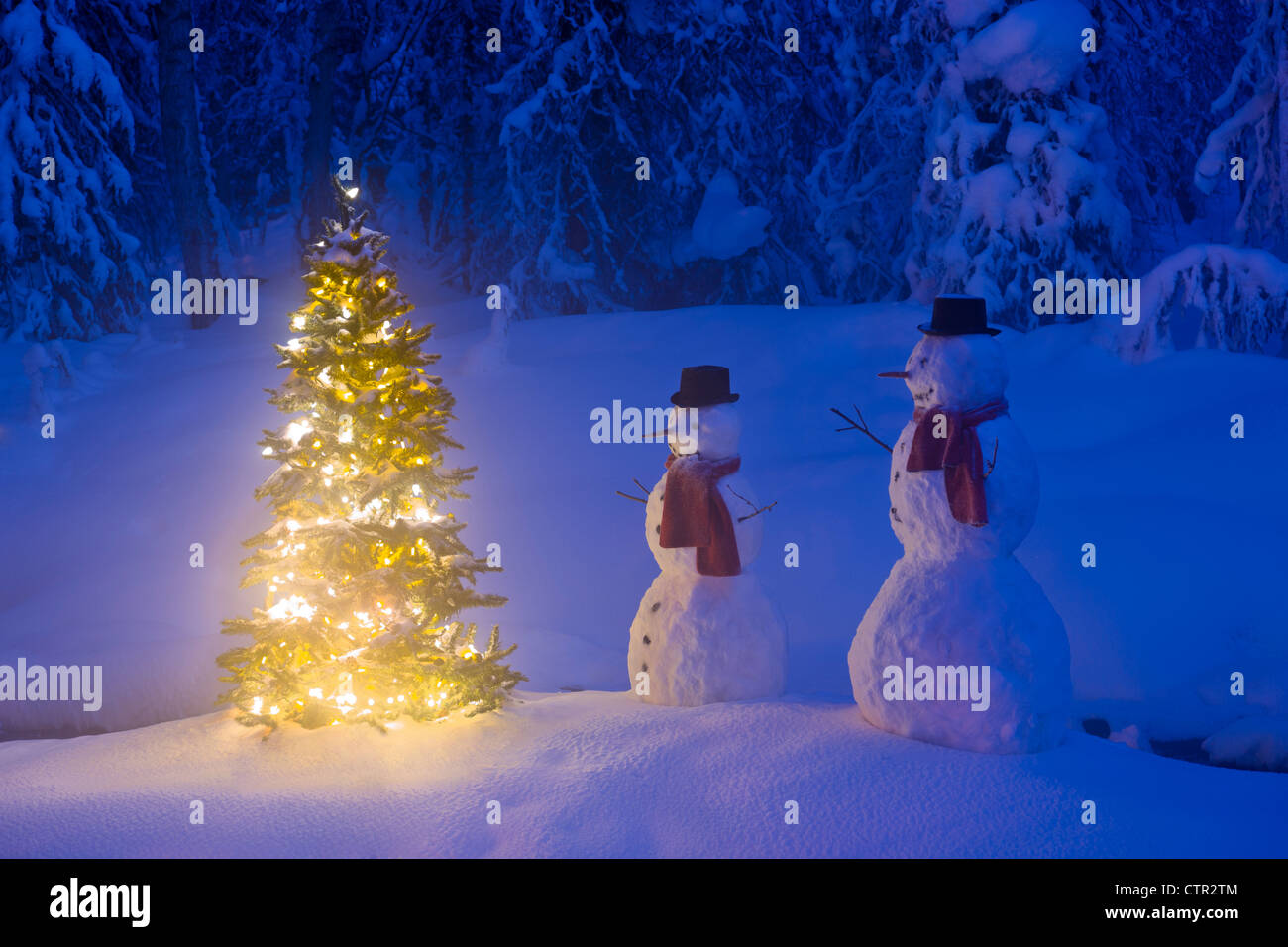 Detail Christmas Tree High Resolution Nomer 44