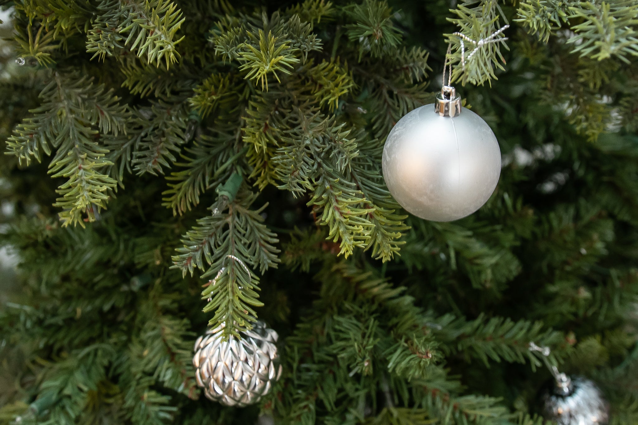 Detail Christmas Tree High Resolution Nomer 55