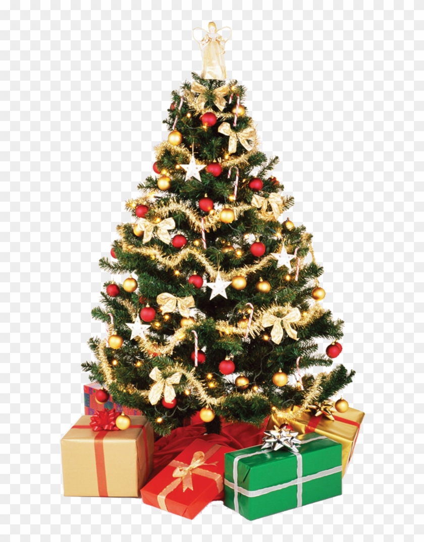 Detail Christmas Tree High Resolution Nomer 7
