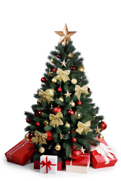 Detail Christmas Tree High Resolution Nomer 8