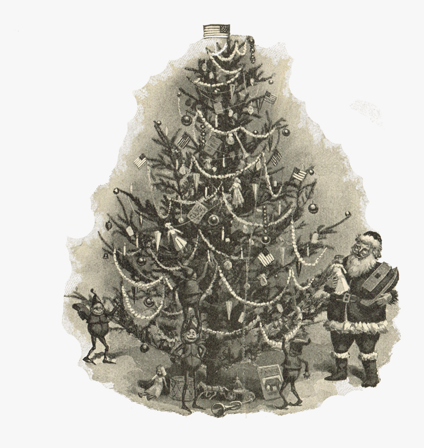 Detail Christmas Tree Illustration Png Nomer 20