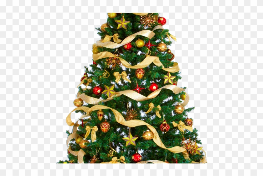 Detail Christmas Tree Images Free Download Nomer 15