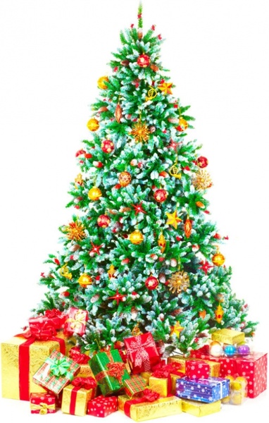 Detail Christmas Tree Images Free Download Nomer 19