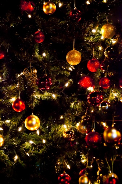 Detail Christmas Tree Images Free Download Nomer 32