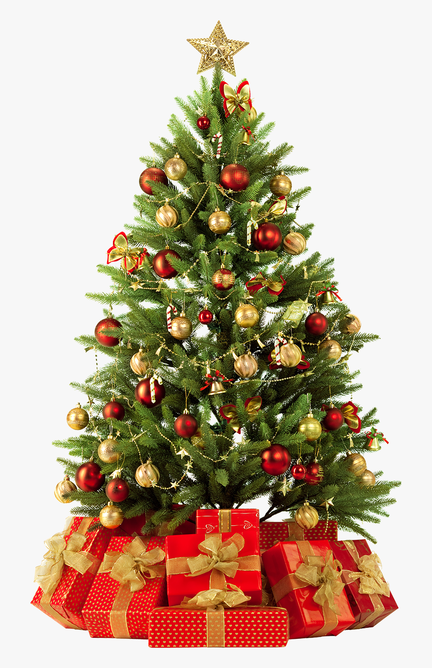 Detail Christmas Tree Images Hd Nomer 43