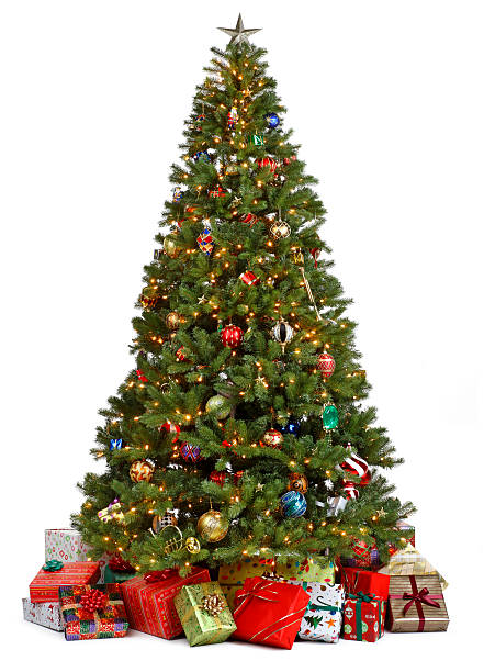 Detail Christmas Tree Images Hd Nomer 46