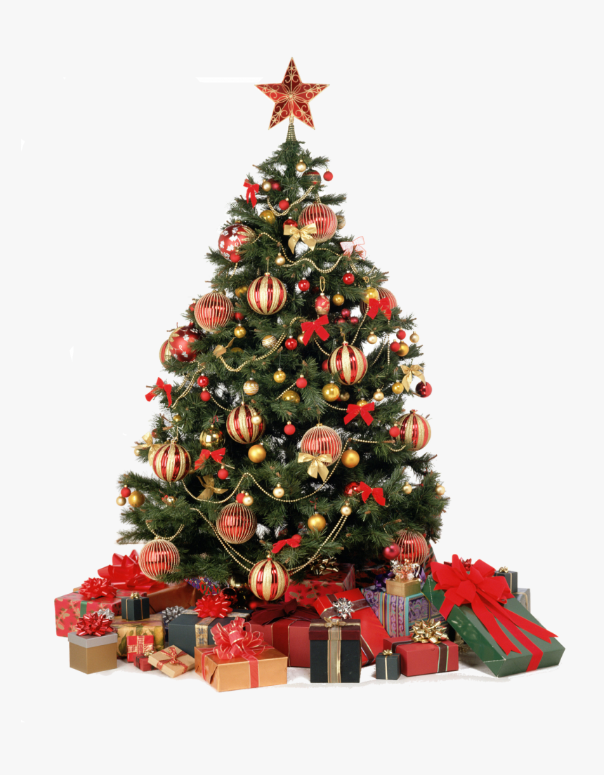 Detail Christmas Tree Lights Png Nomer 11