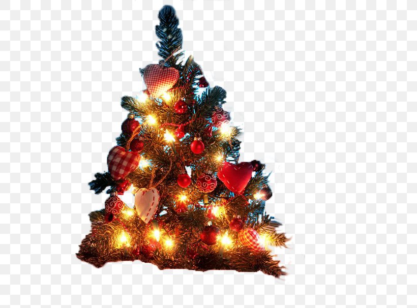 Detail Christmas Tree Lights Png Nomer 25